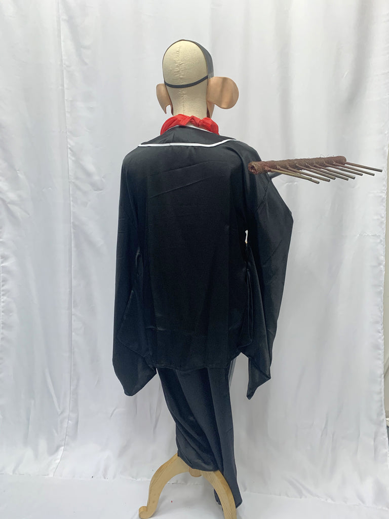Zhu Bajie Costume, Journey to the West