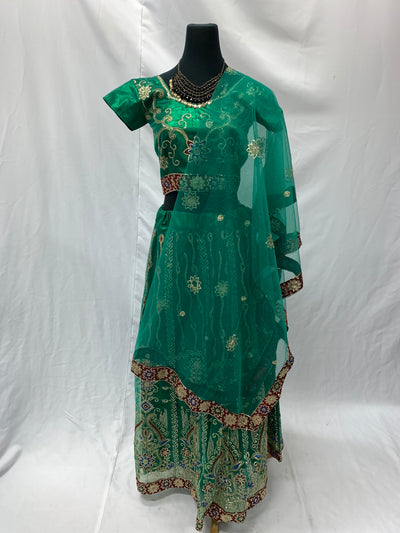 Beaded and Embellished Indian Saree, Green